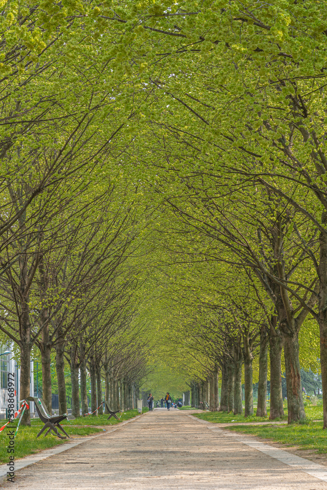 Gennevilliers, France - 04 11 2020: Park with flowering trees in spring