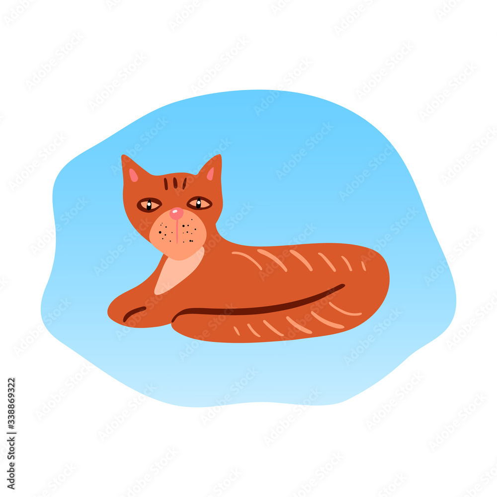 Fototapeta premium Vector cute cartoon cat illustration isolated on white background.