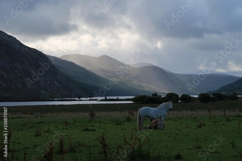 hours in a meadow with a rain shadow backdrop photo