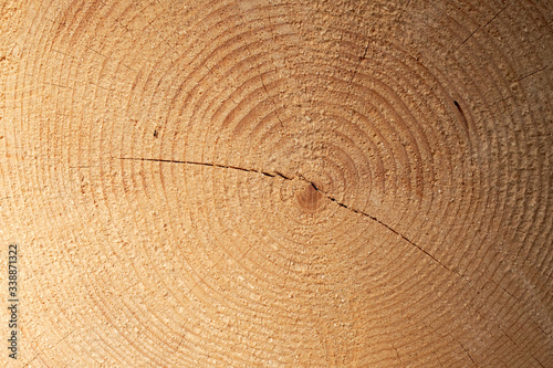 Detailed texture of annual ring on wooden beam