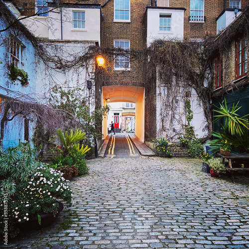 Mews houses in Central London