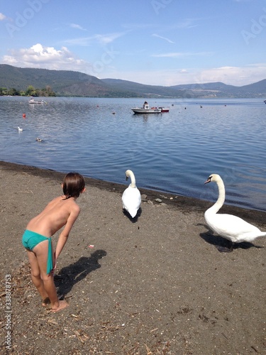anatre libere sulla spiaggia del lago di Bracciano