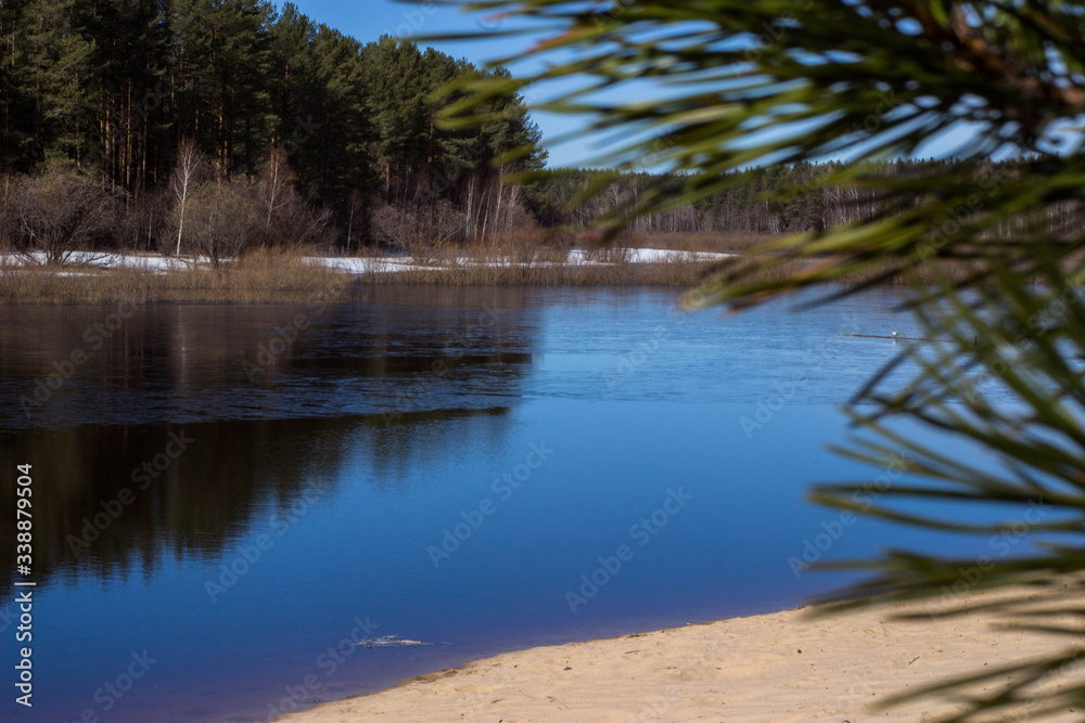 forest across the river, sandy beach, spring floo forest across the river, sandy beach, spring floo