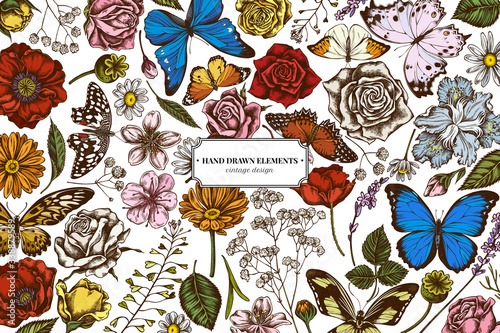 Floral design with colored shepherd's purse, heather, iris japonica, sakura, gypsophila, chamomile, almond, poppy flower, calendula, menelaus blue morpho, blue morpho, lemon butterfly, red lacewing