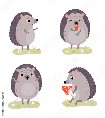 Hedgehog. Four vector characters. Illustration