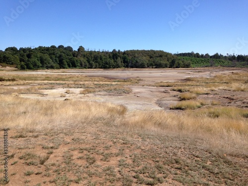 palude di acqua sulfurea nell'area protetta della Caldara di Manziana
