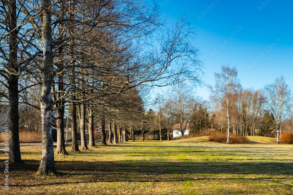 Finnish countryside landscape with row of trees along street with green field.