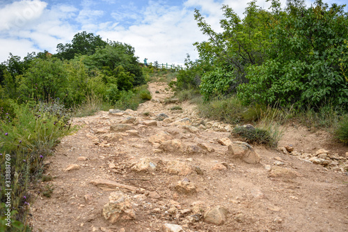 Steep mountain path through green bushes. Hiking in the mountains