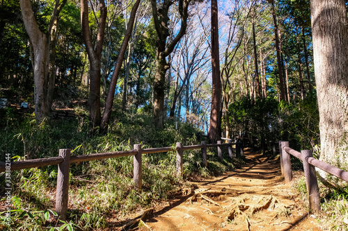 飯能市 天覧山 登山道