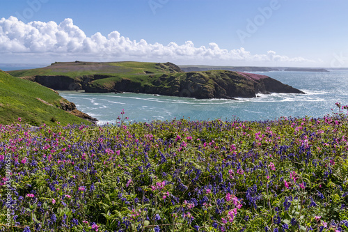 Spring landscape Skomer Island Pembrokeshire  Wales  with wild bluebells and pink sea thrift. Beautiful Welsh heritage coastline on a sunny day.