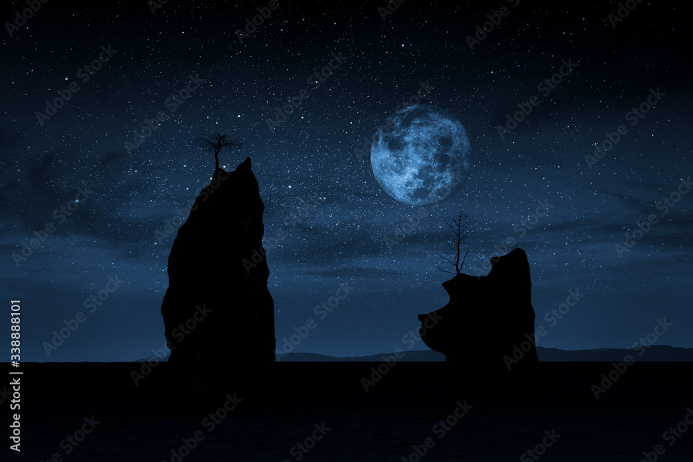 Lonely cliffs by moonlight on the beach