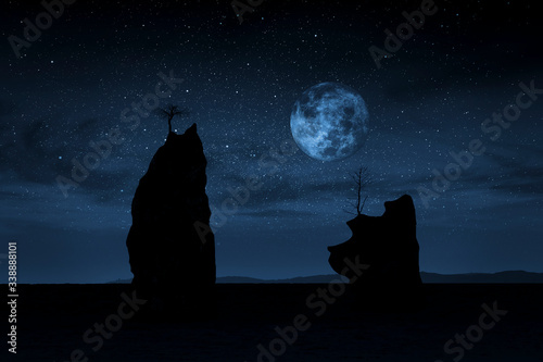 Obraz na płótnie Lonely cliffs by moonlight on the beach w salonie