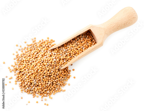 Mustard seeds in a wooden spoon top view. Isolated