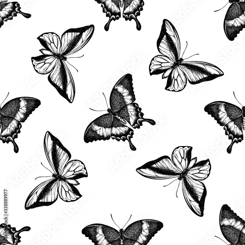Seamless pattern with black and white emerald swallowtail, swallowtail butterfly