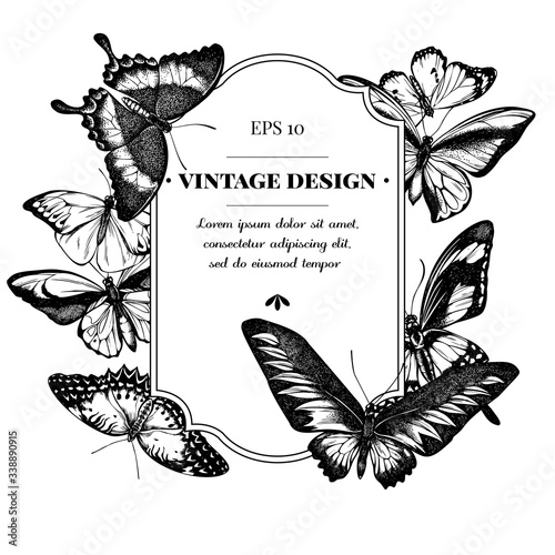 Badge design with black and white great orange-tip, emerald swallowtail, jungle queens, plain tiger, rajah brooke's birdwing, papilio torquatus, swallowtail butterfly