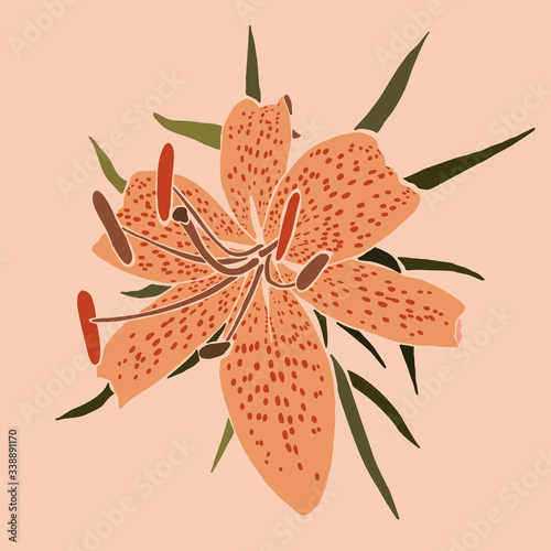 Art collage lily flower in a minimal trendy style. Silhouette of lily plants in a abstract style. Vector illustration