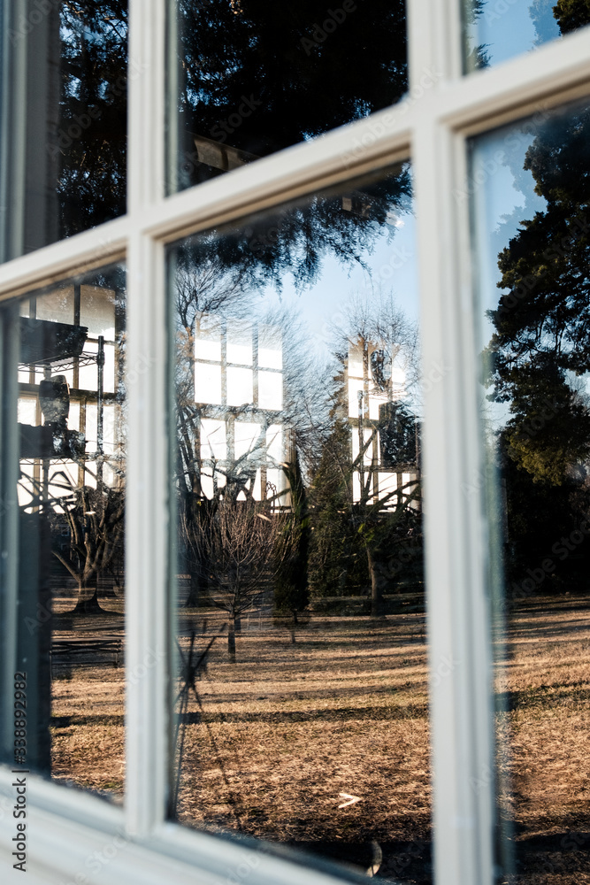 Fototapeta premium Greenhouse Eyes