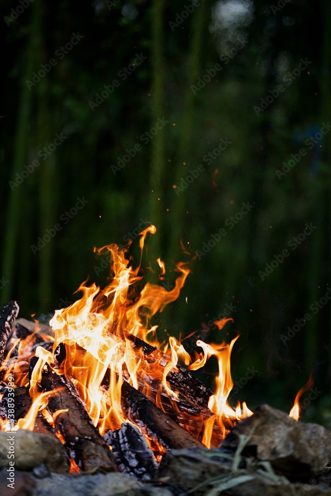 Feu de camp flammes dans la nature Stock Photo | Adobe Stock