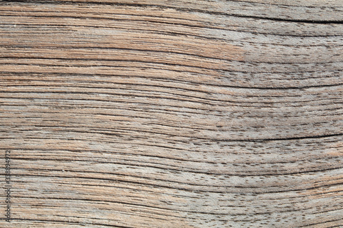 textura madera macro wood texture