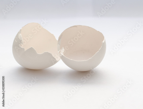 white eggshell on a light background