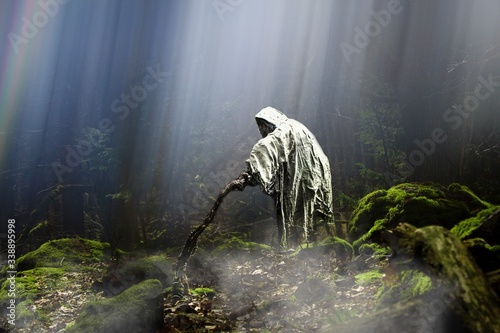 Ghost or  phantom in mysterious and magic forest. Rays of light shine through the trees. Concept for further graphic design.Beautiful mysterious magic forest full of light, sun and fog.  Apparition in