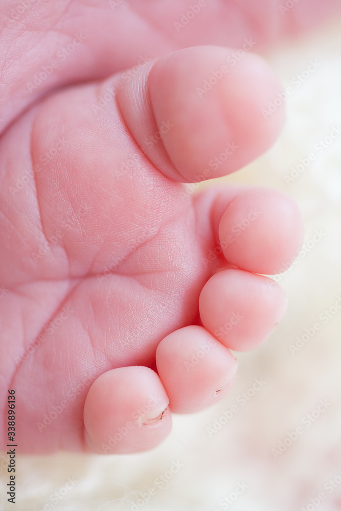 Children's feet close up Children's feet close up