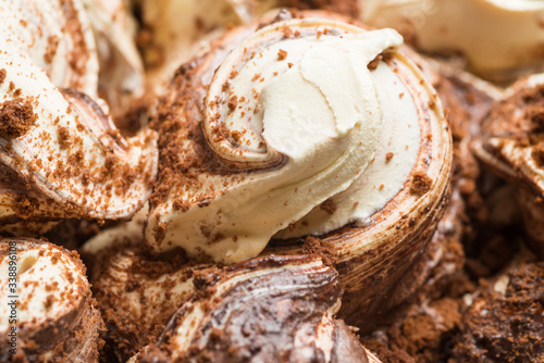 Cookie flavour gelato surface - full frame detail. Close up of a white and brown Ice cream with crispy chocolate pieces