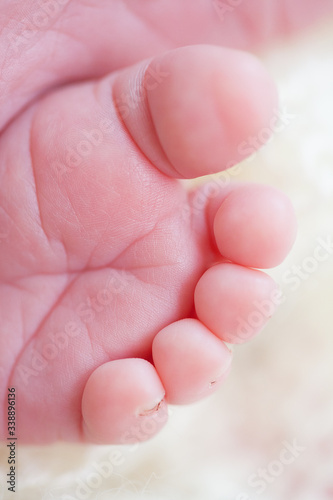 Children's feet close up