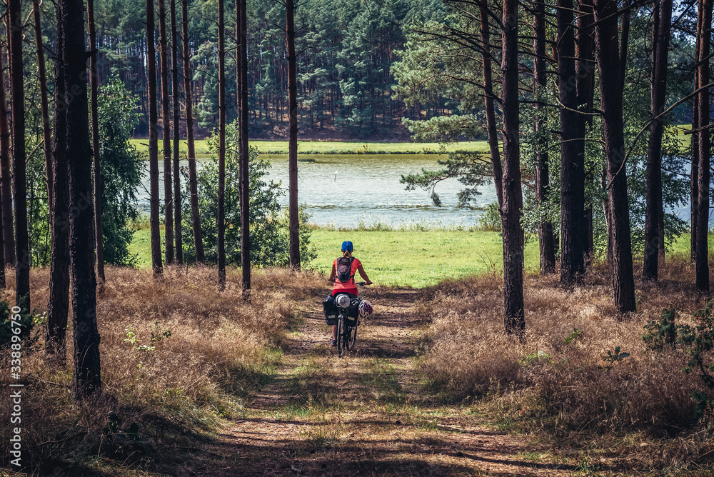 Woman rides bicycle in forest near Lizaki, small village located in Kaszuby region, Poland Woman rides bicycle in forest near Lizaki, small village located in Kaszuby region, Poland