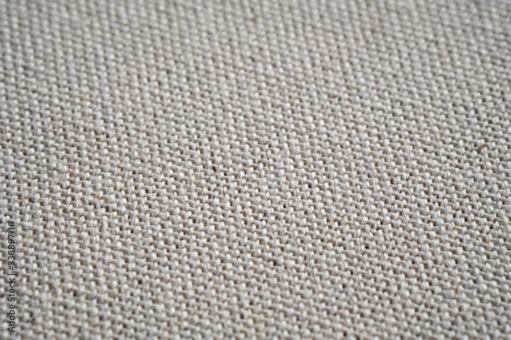 Detail of cotton canvas Detail of cotton canvas
