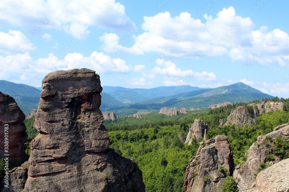 Belogradchik rocks formation in the forest against clear blue sky in summer