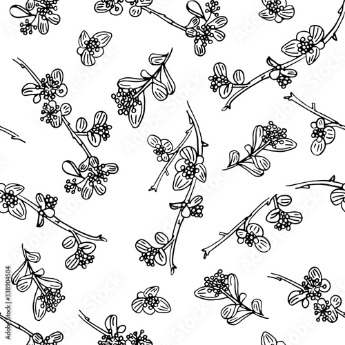 Delicate twigs with small flowers and berries. Vintage seamless pattern with twig. Background for eco forest autumn celebrations. Black floral rustic symbols on white hand drawing style