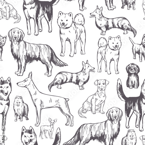 Hand drawn dogs. Vector seamless pattern.
