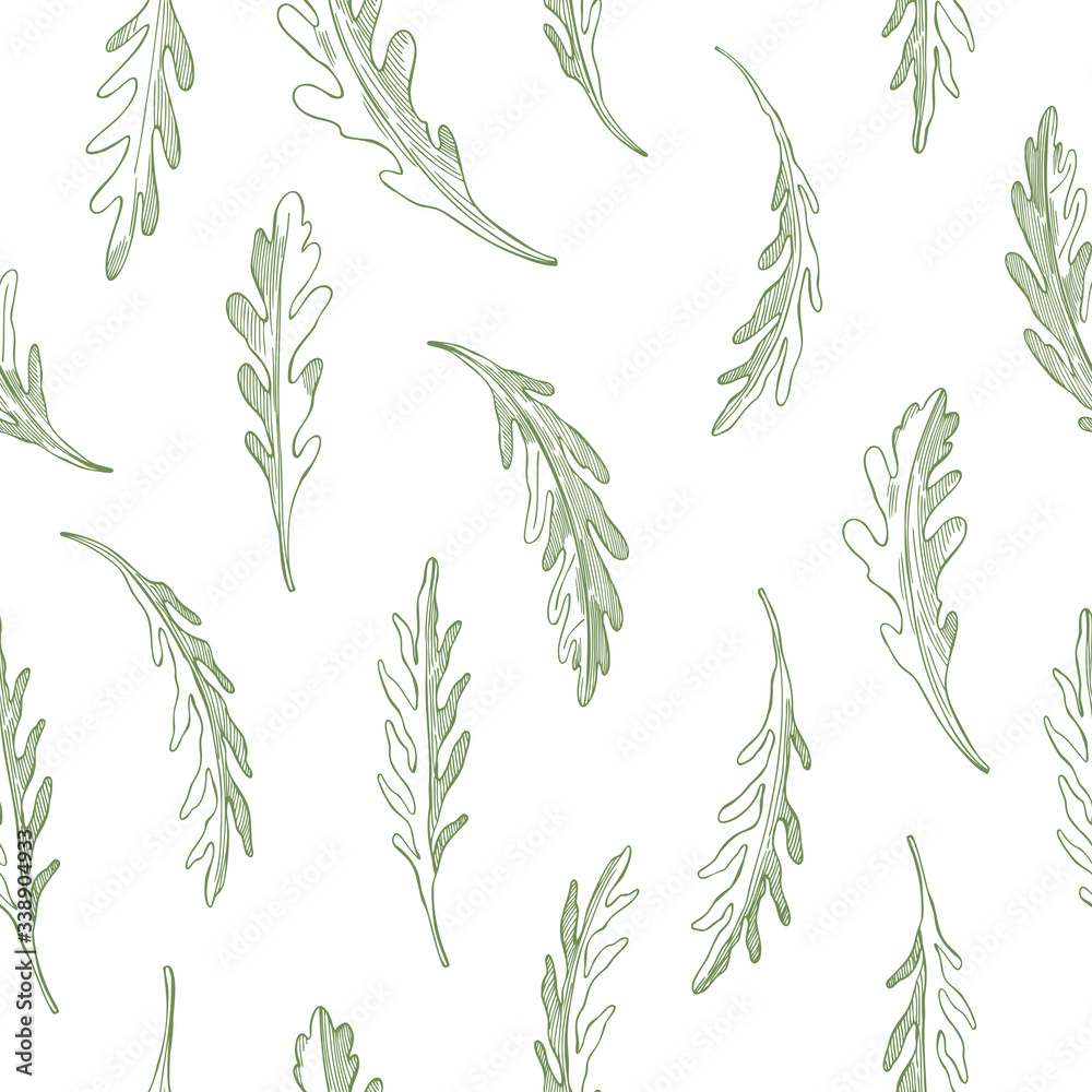 Hand drawn rucola leaves on white background. Vector seamless pattern. Hand drawn rucola leaves on white background. Vector seamless pattern.