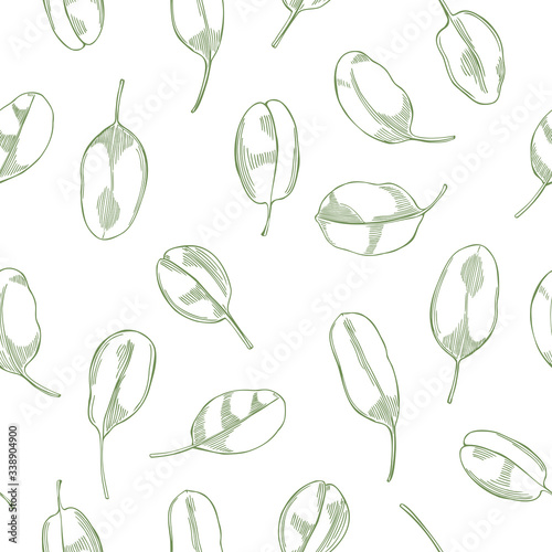 Hand drawn spinach leaves on white background.  Vector  seamless pattern.