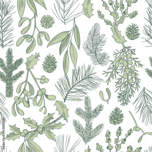 Hand drawn Christmas plants set. Coniferous tree branches. Vector seamless pattern. © rraya