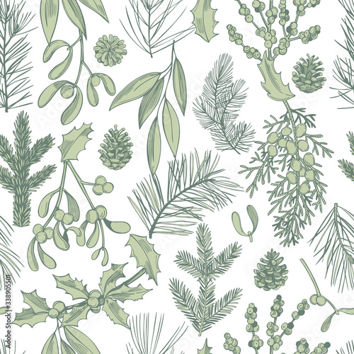 Hand drawn Christmas plants set. Coniferous tree branches. Vector  seamless pattern.
