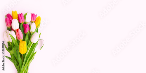 bouquet of colorful tulips on a light pink isolated background with place for text