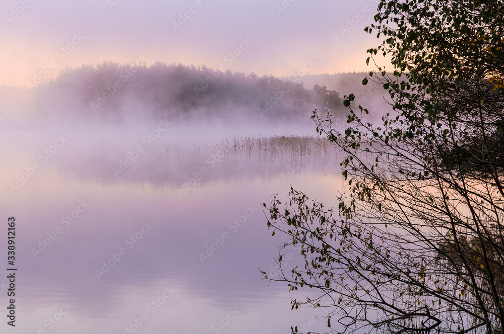 Fototapeta premium Tree branches in front of misty lake, Sweden.