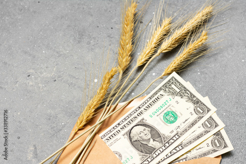 Economic crisis. Three dollars in an envelope and ears of corn on a gray background. Concept of the world food crisis. Lack of money for food photo