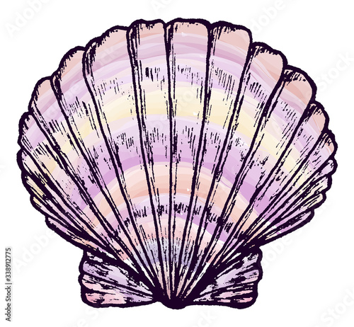Sea shell. Inc. Sketch markers.