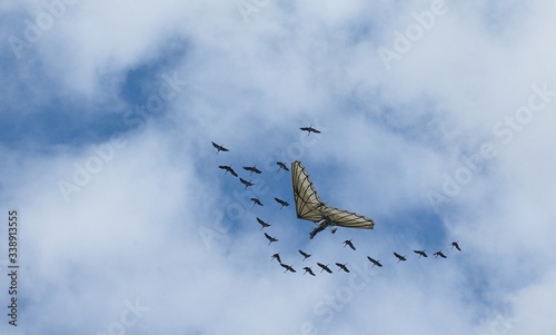 Fliegende Drachen mit einer Storchherde