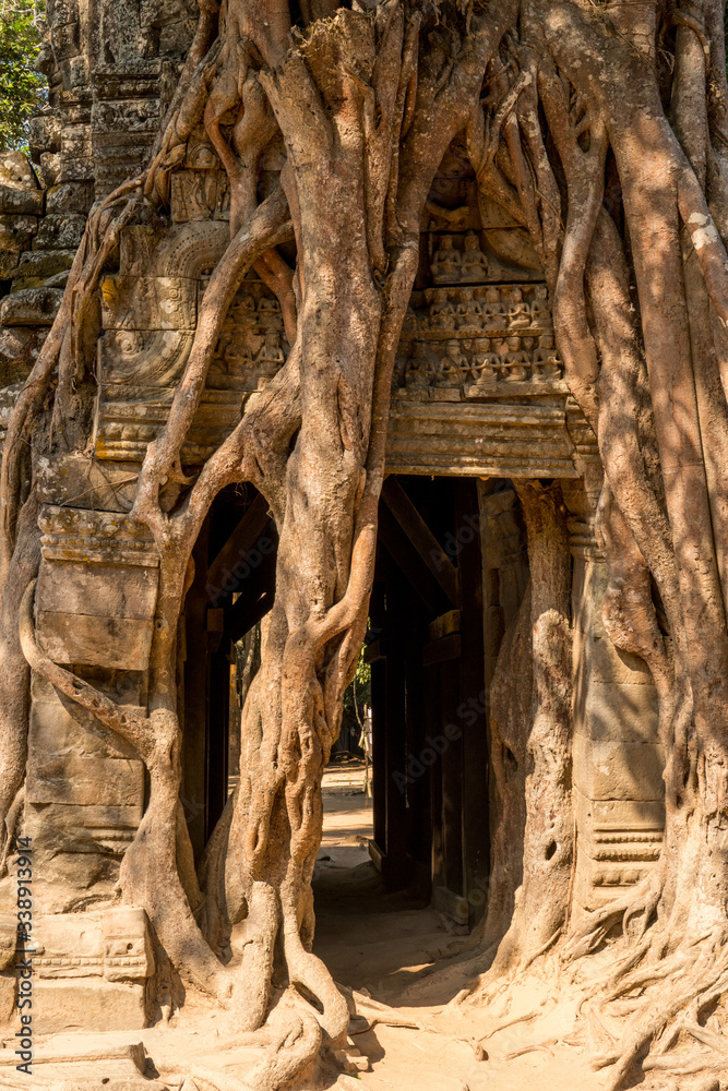 Ta Som Temple, Angkor Park, Siem Reap, Cambodia