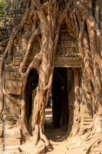 Ta Som Temple, Angkor Park, Siem Reap, Cambodia © mtnmichelle