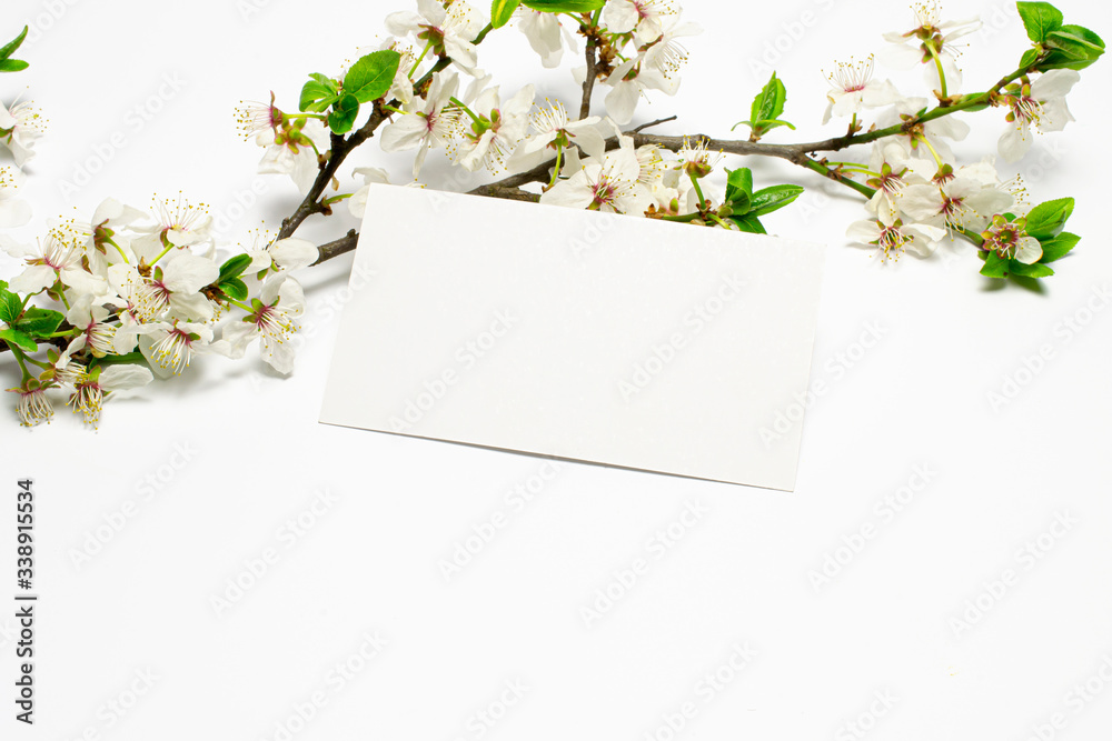 Fototapeta premium Blank paper card and blossoming branch with green leaves as spring concept template