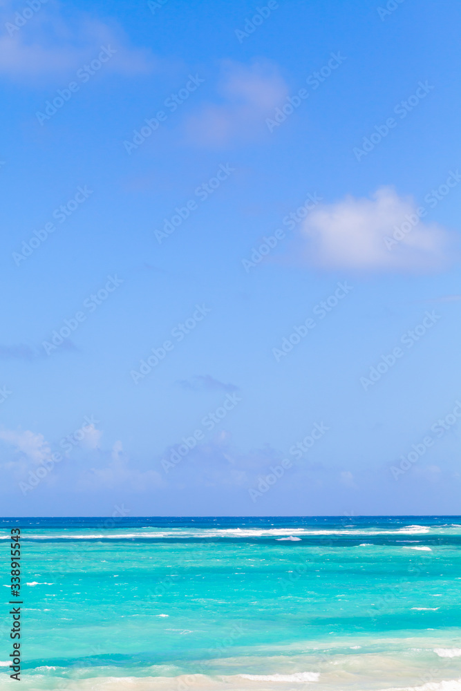 Caribbean sea at sunny day, vertical landscape