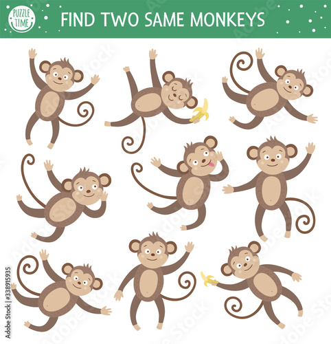 Find two same monkeys. Tropical matching activity for preschool children with cute animals. Funny jungle puzzle for kids. Logical quiz worksheet. Simple summer game for kids.