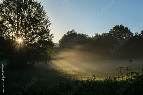 picturesque landscape of a summer meadow, dawn, a ray of sun shines through the fog and trees, breathtaking view, travelling in beautiful places