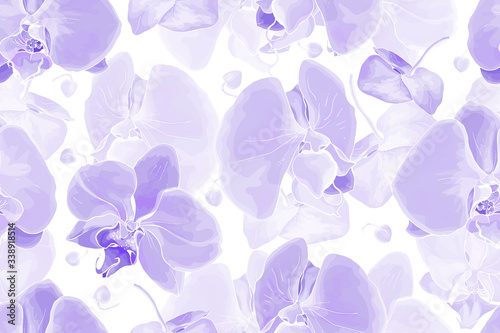 Wallpaper Mural Pale purple floral seamless pattern with flowers orchids on white background. Hand drawn. Vector stock illustration. Torontodigital.ca