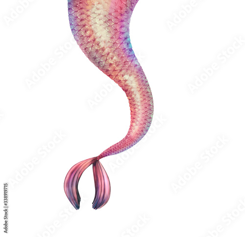 Realistic illustration of sparkling  pink, gold and violet mermaid tail with textured shiny  scales. Fairytail and magic  sea creature.